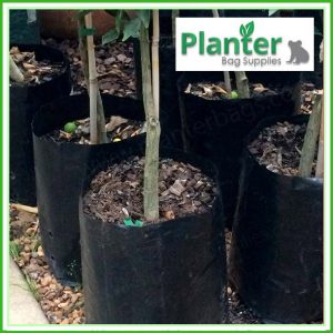 2.5 litre Planter Bag - Poly plant bags / Grow bag - for more info go to Planterbags.com.au
