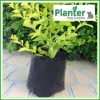 2.5 litre Planter Bags - Polyethylene Growbags - for more info go to PlanterBags.com.au