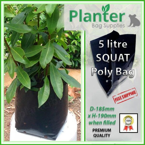 5 litre Squat Planter Bags - Polyethylene Growbags - for more info go to PlanterBags.com.au