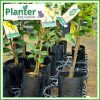 5 litre Tall Planter Bags - Polyethylene Growbags - for more info go to PlanterBags.com.au