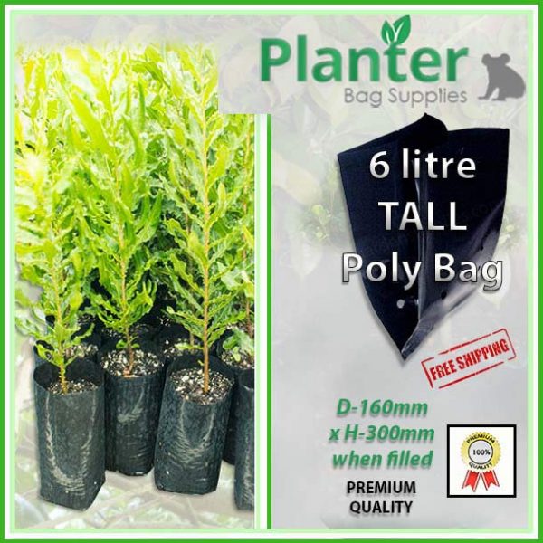6 litre Tall Planter Bags - Polyethylene Growbags - for more info go to PlanterBags.com.au