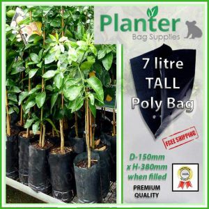 7 litre Tall Planter Bags - Polyethylene Growbags - for more info go to PlanterBags.com.au