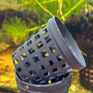 2" Net Pot (50mm)