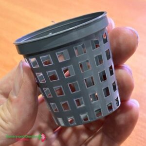 2" Net Pot (50mm)