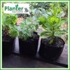 0.25 Gallon Squat Plant Grow Bag - for more info go to PlanterBags.com