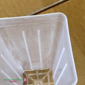 2 Inch Tree Pots - 5" Deep | Square Forestry & Seedling